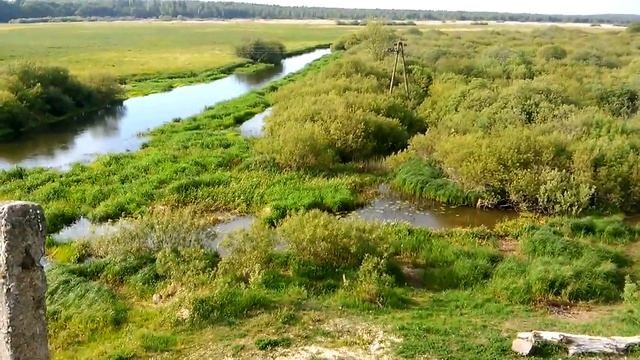 Ветьма обмелела,брянские реки исчезают...