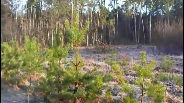 Свежие звуки и картинки 8 марта смотреть онлайн