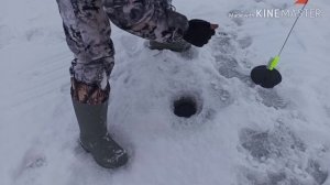 Отличный клёв щуки в глухозимье,сезон 2020 открыт