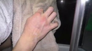 Четвёртая неделя карантина! Like vs Tik Tok