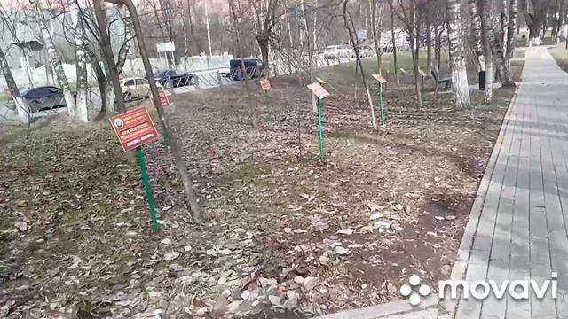 Как выглядит Аллея славы и памятник Вечный огонь в городе Красногорске