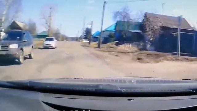 #ЖЕСТЬ АЛАБАЙ НАПАЛ на РЕБЁНКА!!!! #Жесть #жесть смотреть онлайн