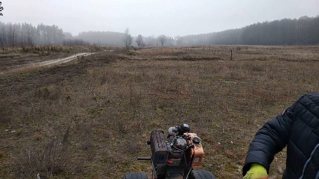 КАК НЕ НАДО ПЕРЕСАЖИВАТЬ СОСНУ смотреть онлайн