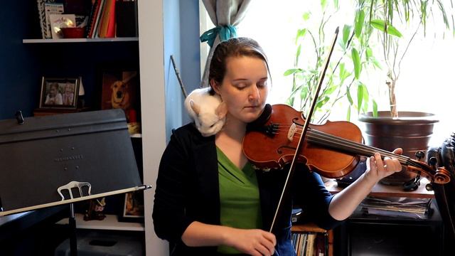 Jenny Dang the Weaver with Knightly the Chinchilla смотреть онлайн