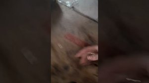 После капремонта двиготеля нет давления масла.