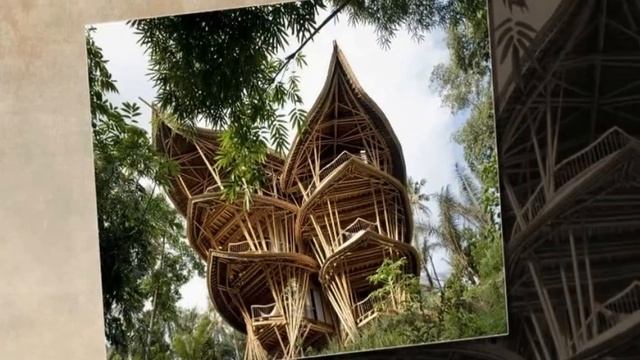 ТОП Дом из Бамбука, который построила Девушка на БАЛИ смотреть онлайн