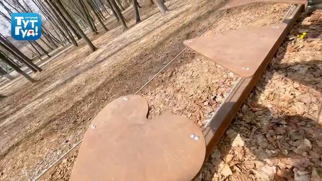 Реконструкция Раменского парка