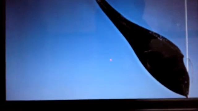 Asus EeePC 1005HA Hackintoshed