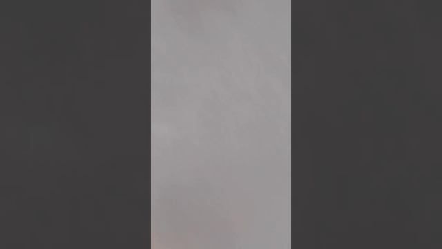 КАК НАЙТИ МУРАВЬЯ ВО ДВОРЕ? смотреть онлайн