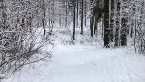 ЗАЕХАЛ ДОМОЙ БЕЗ ПРЕДУПРЕЖДЕНИЯ. А ТАМ. Интересные жизненные истории. Поучительные аудио рассказы.