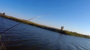 Рыбалка. Волго-Ахтубинская пойма. Ерик Костыли.