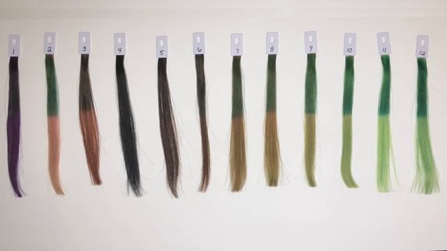 Arctic Fox PHANTOM GREEN  Hair Level Swatches