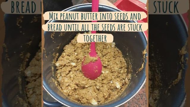 Winter Bird Feeder смотреть онлайн