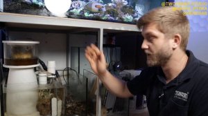 vlog#21 | пенник | морской аквариум | аквариумные рыбки | морской аквариум для начинающих