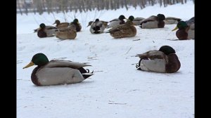 Екатеринбург, Фотоклип 
25.01 23