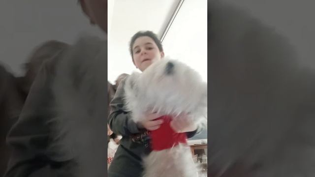 31 dicembre 2022 смотреть онлайн