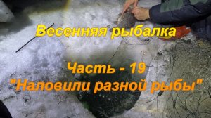 Весенняя рыбалка.  Часть - 19 "Наловили разной рыбы".