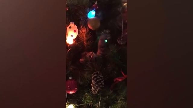 Коты и новогодние елки