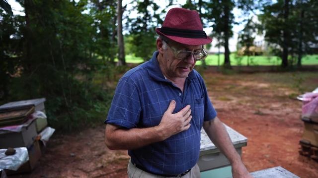 Пасека #94 Как давать Сахарный Сироп? | Пчеловодство для начинающих смотреть онлайн