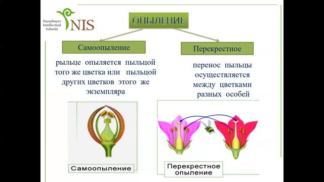 Как происходит опыление