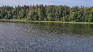 Tohatsu mfs 5 + apache (апаче) 3500 нднд