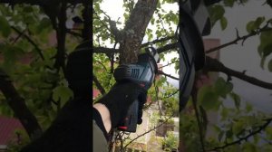 На что способна сабельная пила Bosch GSA 10,8V