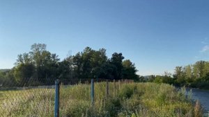 Алтайский край, Алтайский район, село Алтайское 22 07 2022 без птички