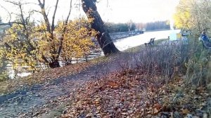 ДОМА НА КАМЕННОМ ОСТРОВЕ САНКТ-ПЕТЕРБУРГ // ЭЛИТНАЯ НЕДВИЖИМОСТЬ САНКТ-ПЕТЕРБУРГА