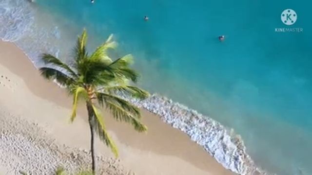 Relaxing music|Расслабляющая музыка|Музыка для сна, шум моря смотреть онлайн