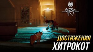 Достижения Stray - Хитрокот