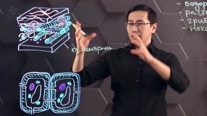 Клеточная стенка и ее функции. 10 класс.