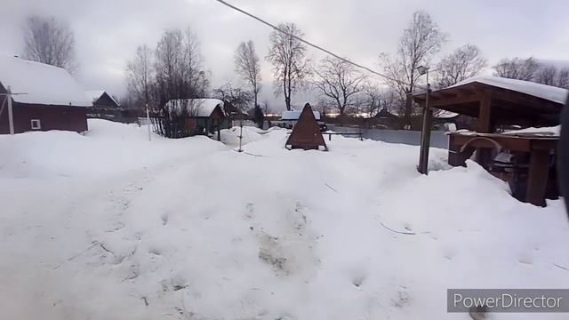 Дела только по Хозяйству/ Коровы козы куры/