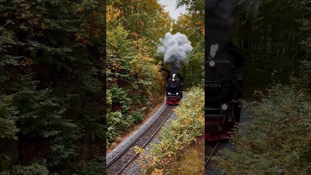 Самая красивая поездка на паровозе в Германии 😱 смотреть онлайн