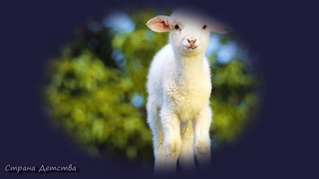 Колыбельная для малышей - Ой люшеньки смотреть онлайн