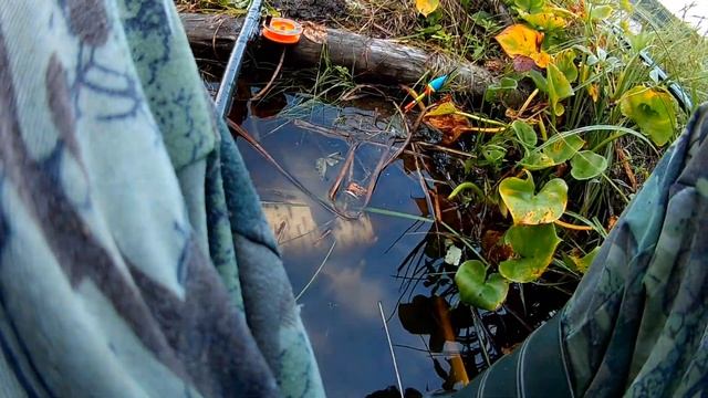 Ловля Крупного и Трофейного карася больше килограмма. Рыбалка с удочкой 2022 смотреть онлайн