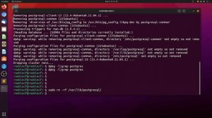 ubuntu  21.04 how to delete / remove postgresql (psql) & pgadmin4