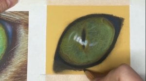 Рисуем кошачий глаз пастелью / Draw a cat's eye with pastel