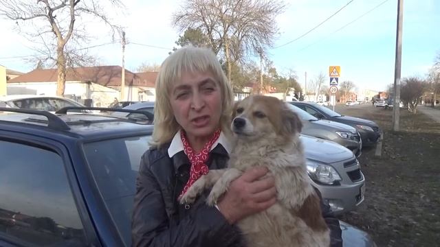 Приют для животных в Краснодарском крае. Конечно поговорим о собаках смотреть онлайн
