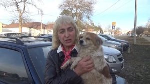 Приют для животных в Краснодарском крае. Конечно поговорим о собаках