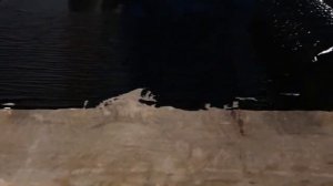 Применение гидроизоляционной мастики Bitumast