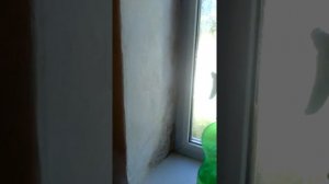 Как избавиться от грибка на стене и окне навсегда МОЙ УСПЕХ черная плесень Уже прошло 4 года.