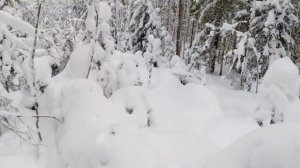 Снегоход буран с двигателем Лифан 15 по тайге. Пробиваем путь до избы.