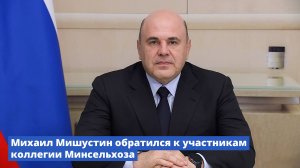 Михаил Мишустин обратился к участникам коллегии Минсельхоза