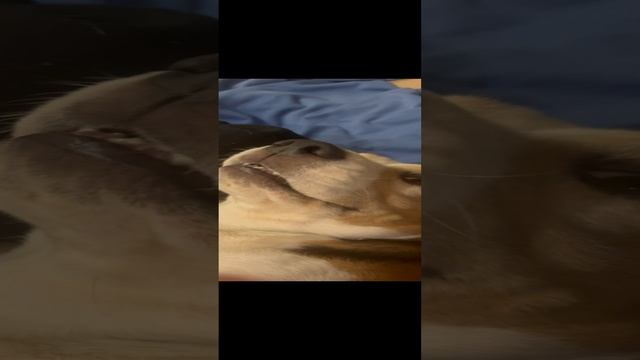 2022-11-14 смотреть онлайн