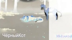 Коты Воители/Dizzy Dizzy/Кленовница/Песня