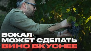 После этого видео вам будет вкуснее пить вино. Винодел рассказывает всё о своей работе.