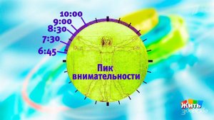 Биоритмы. Как работают внутренние часы? Жить здорово! Фрагмент выпуска от 25.10.2017