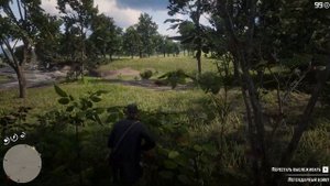 Red Dead Redemption 2 - Легендарный койот