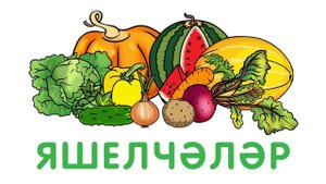 «Бәби сүз» - Яшелчәләр / Овощи / Видео для детей