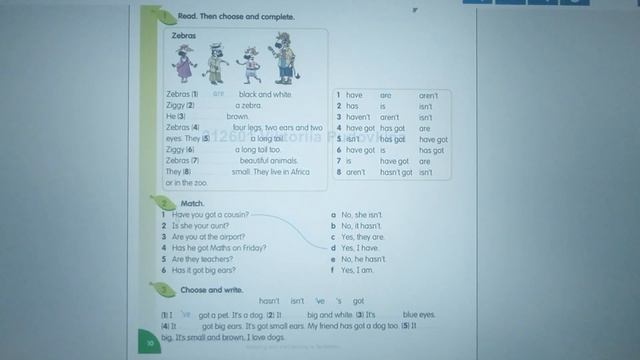 Fly High 3 Review 1 (закріплення вивченого) смотреть онлайн